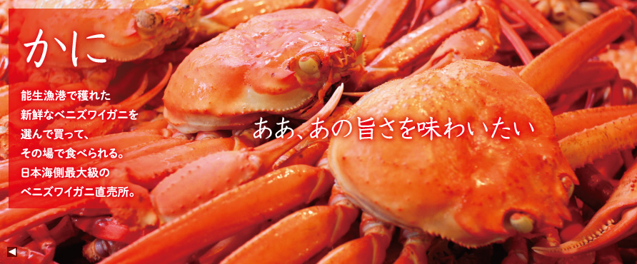 top_kani07.jpg