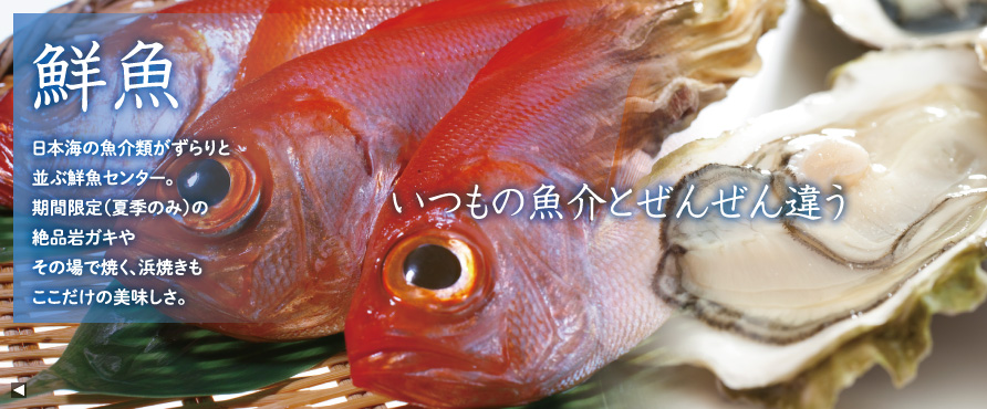 道の駅マリンドリーム能生 新潟県 糸魚川市 能生 日本海の